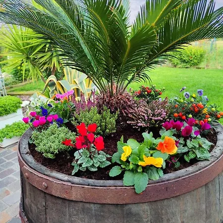 Flavio E Catia Bed & Breakfast 4*