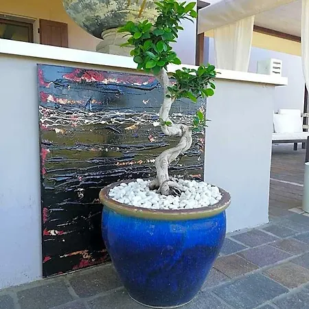 Flavio E Catia Bed & Breakfast 4*